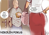 Nikolin pokus